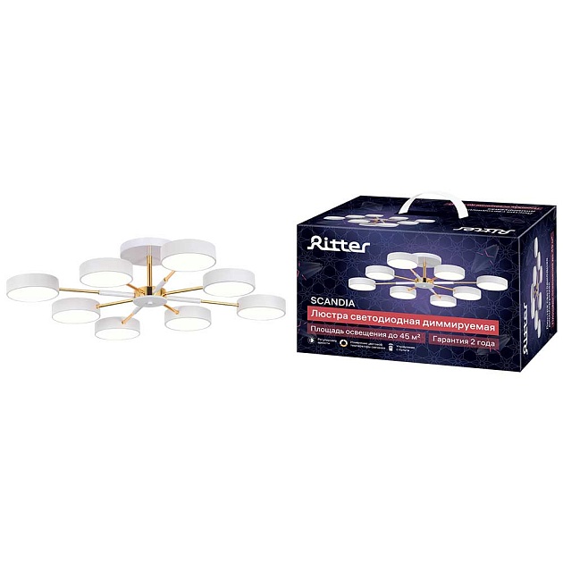 Потолочная люстра Ritter SCANDIA 51629 7 изображение Потолочная люстра Ritter SCANDIA 51629 7 Фото №