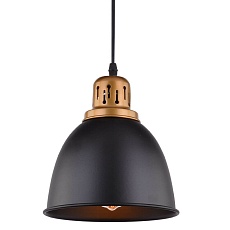 Подвесной светильник Arte Lamp Eurica A4245SP-1BK 1