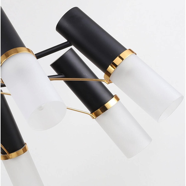 Потолочная люстра F-Promo Viator 2558-8P Фото № 6