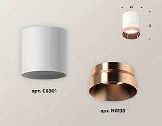 Комплект потолочного светильника Ambrella light Techno Spot XC (C6301, N6135) XS6301025 2