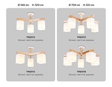 Потолочная люстра Ambrella light Traditional Loft TR83113 2