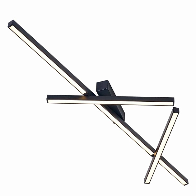 Потолочный светодиодный светильник Odeon Light Tao 4367/50CL Фото № 2