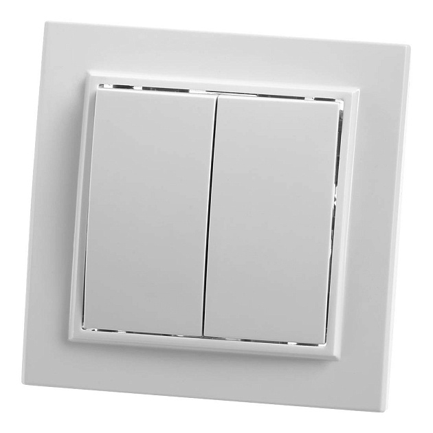 Выключатель двухклавишный Feron Stekker Эрна PSW10900401 39044 изображение Выключатель двухклавишный Feron Stekker Эрна PSW10900401 39044 Фото №