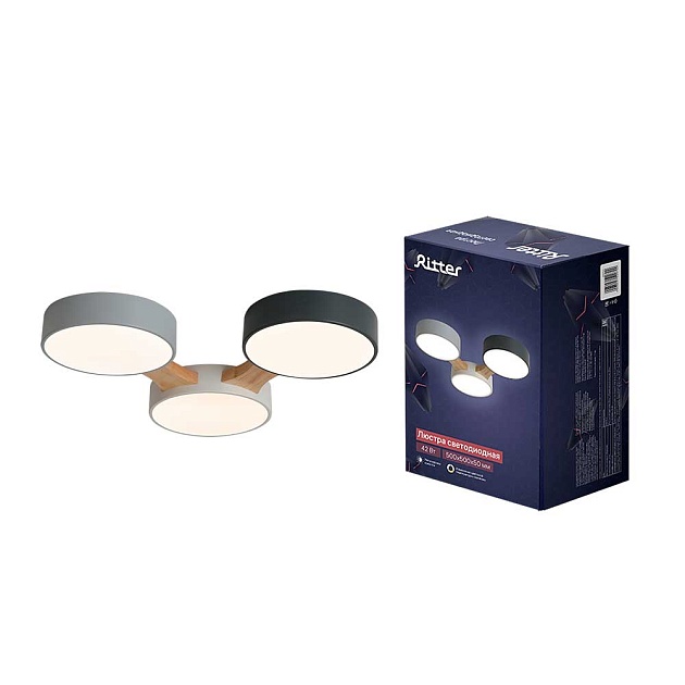 Потолочная люстра Ritter SCANDIA 52070 2 Фото № 