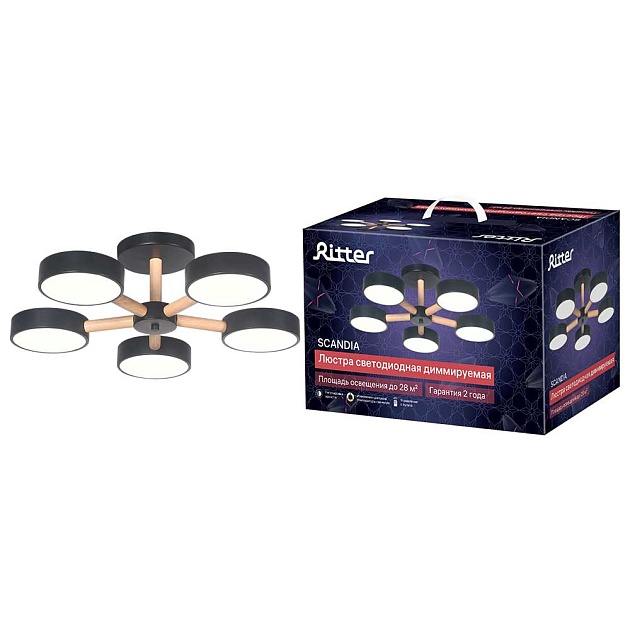 Потолочная люстра Ritter SCANDIA 51592 4 изображение Потолочная люстра Ritter SCANDIA 51592 4 Фото №