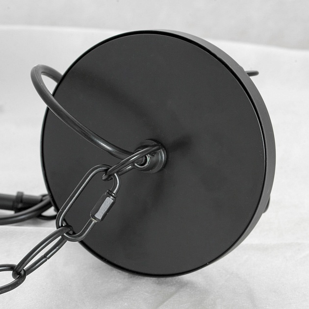 Подвесная люстра Lussole Loft CARROLLTON LSP-8735 изображение 4 Подвесная люстра Lussole Loft CARROLLTON LSP-8735 Фото № 4