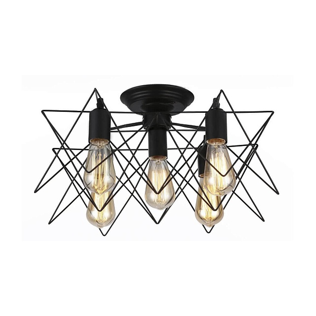 Потолочная люстра Arte Lamp A6048PL-5BK Фото № 