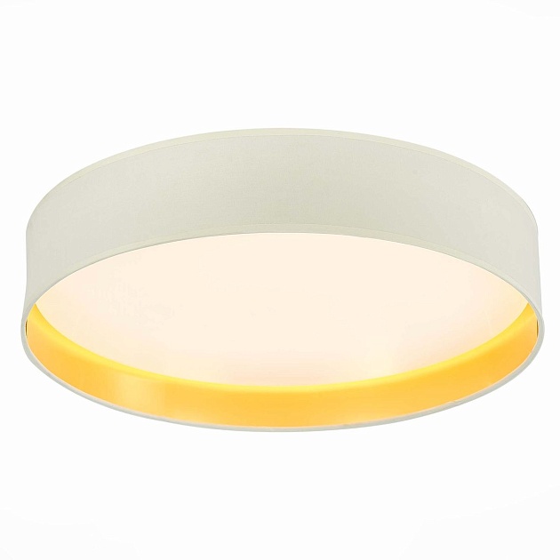 Потолочный светодиодный светильник Evoluce Brescia SLE300552-01 Фото № 2