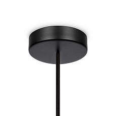 Подвесной светильник Maytoni Memory MOD177PL-01W 1