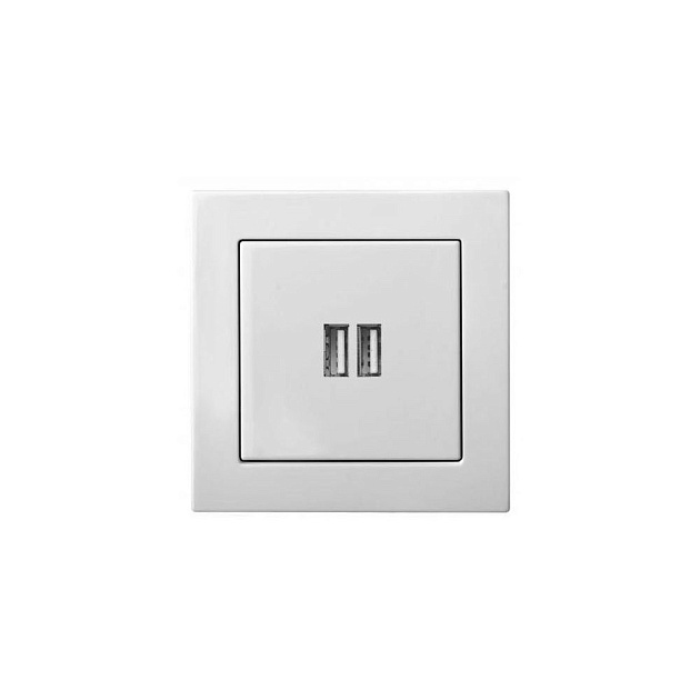 Розетка 2xUSB Liregus Epsilon белый 28-0352 изображение Розетка 2xUSB Liregus Epsilon белый 28-0352 Фото №