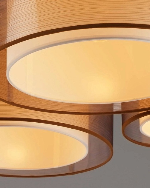 Потолочная люстра Moderli Room V10624-5C Фото № 3