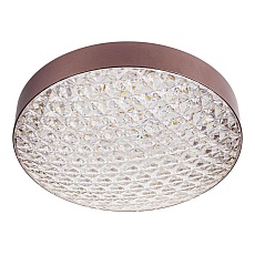 Потолочный светодиодный светильник Escada 10246/1LED