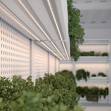 Светодиодная лента Arlight 14W/m 144LED/m 2835SMD дневной белый+красный 5M 038170 2