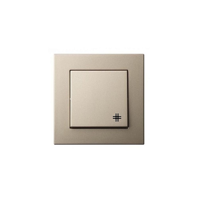 Переключатель перекрестный Liregus Epsilon шампань 28-305 изображение Переключатель перекрестный Liregus Epsilon шампань 28-305 Фото №