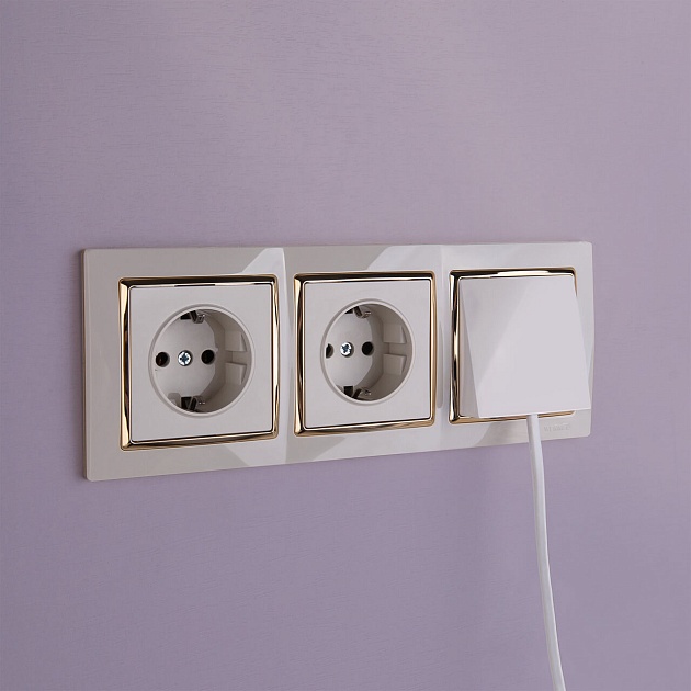 Розетка с заземлением Werkel слоновая кость W1171003 4690389155741 Фото № 7