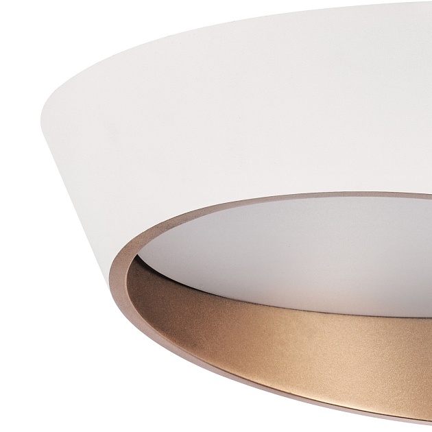 Потолочный светодиодный светильник Lightstar Celesta 809456 изображение 2 Потолочный светодиодный светильник Lightstar Celesta 809456 Фото № 2