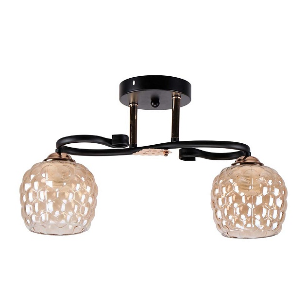 Потолочный светильник ЭкономСвет 12146/2BK+FGD AMB изображение Потолочный светильник ЭкономСвет 12146/2BK+FGD AMB Фото №