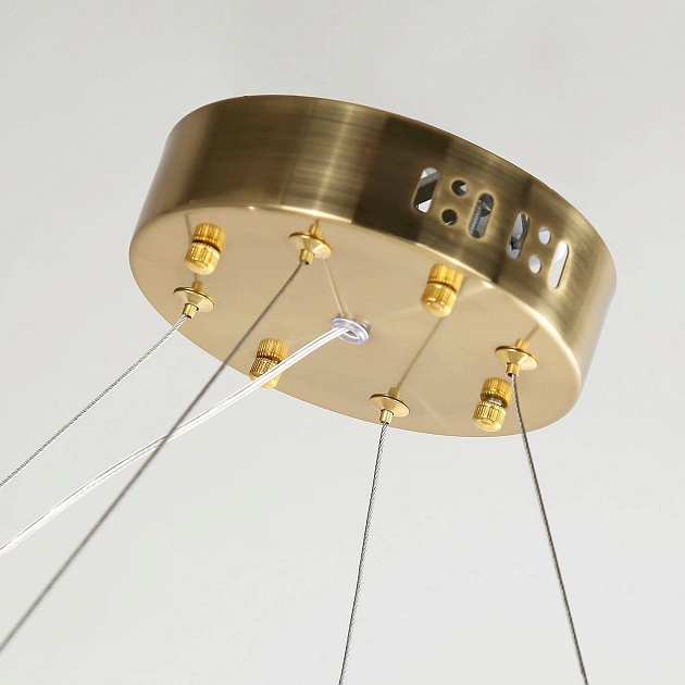 Подвесная люстра Favourite Placerat 4012-8P Фото № 4