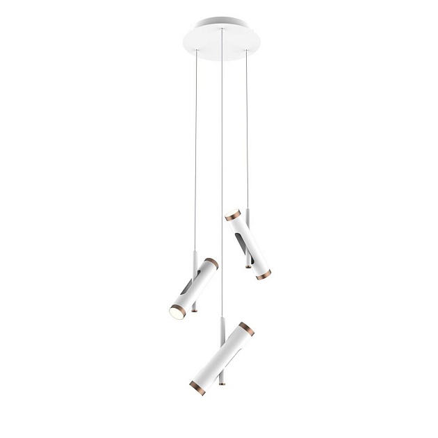 Подвесная светодиодная люстра Favourite Duplex 2325-6P изображение Подвесная светодиодная люстра Favourite Duplex 2325-6P Фото №