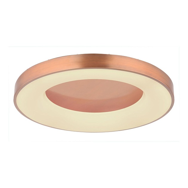 Потолочный светодиодный светильник Globo Jolli 41758-42C Фото № 