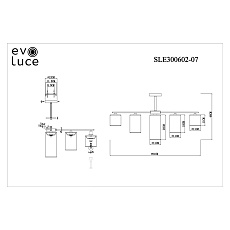 Потолочная люстра Evoluce Essenza SLE300602-07 1