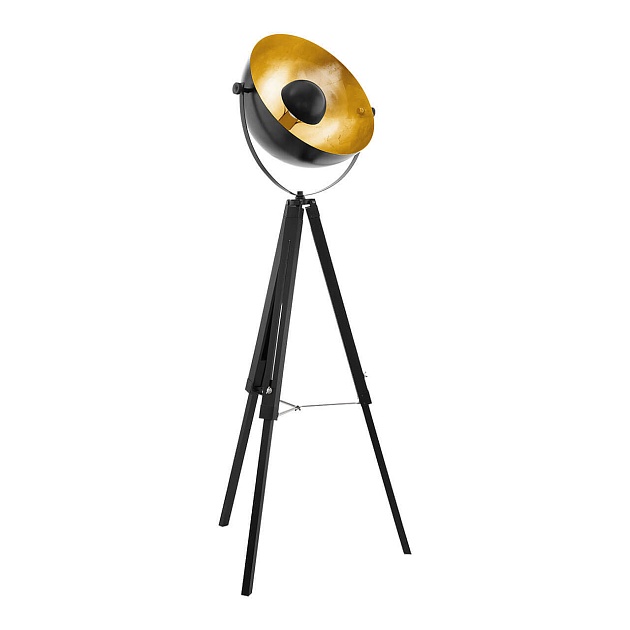 Торшер Eglo Covaleda 49618 Фото № 