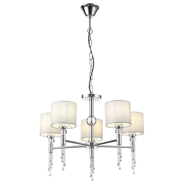 Подвесная люстра Evoluce Primma SLE105173-05 Фото № 