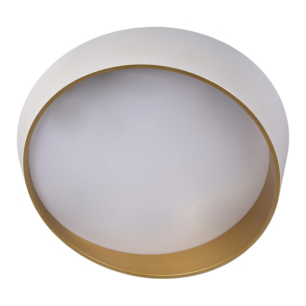 Потолочный светодиодный светильник Loft IT Coin 10199 White изображение 3 Потолочный светодиодный светильник Loft IT Coin 10199 White Фото № 3