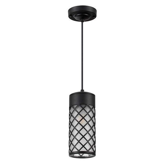 Уличный подвесной светильник Odeon Light Nature Dunes 4834/1 Фото № 