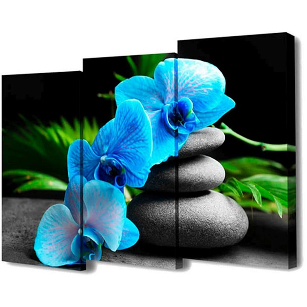 Модульная картинаToplight 100х150х3см TL-M2072 Фото № 