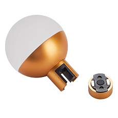 Трековый светодиодный светильник ST Luce Farm ST815.206.05 1