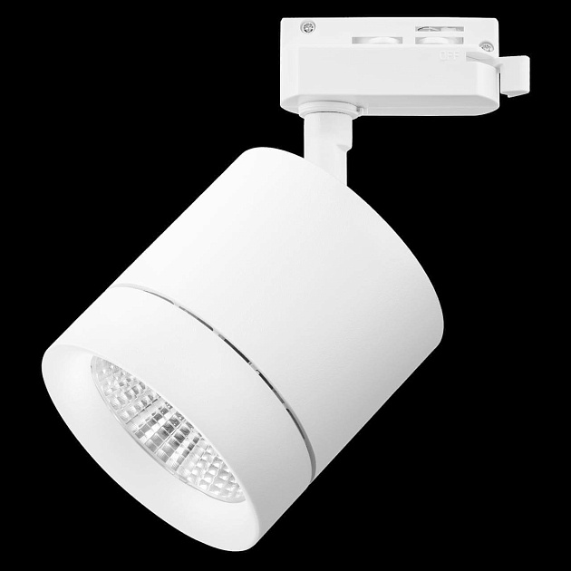 Трековый светодиодный светильник Lightstar Canno Led 301264 изображение 4 Трековый светодиодный светильник Lightstar Canno Led 301264 Фото № 4