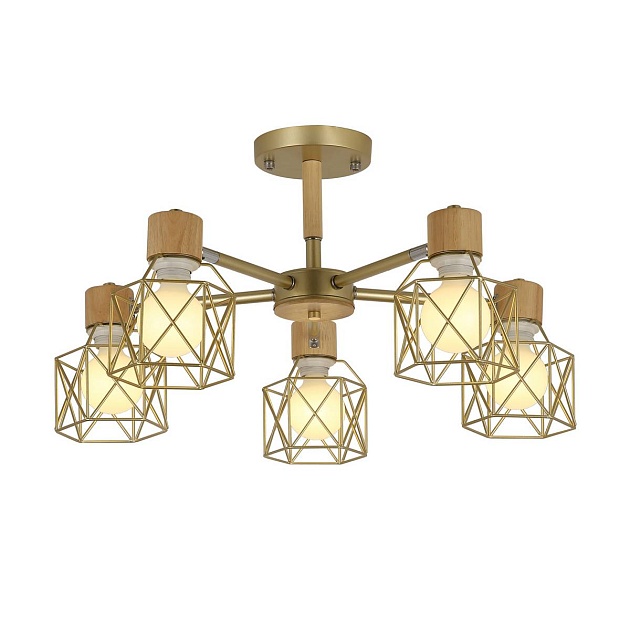 Потолочная люстра Evoluce Stelitto SLE110402-05 Фото № 