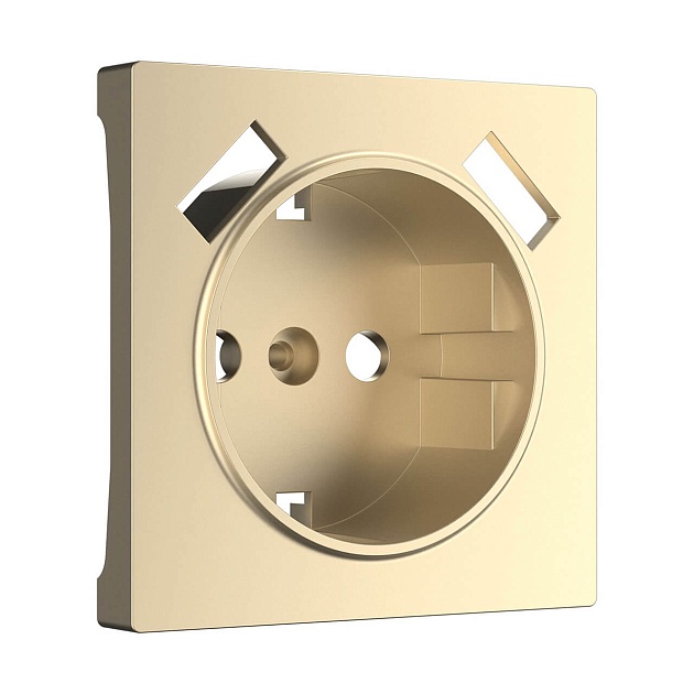 Накладка для розетки USB Werkel шампань W1179511 4690389157462 Фото № 