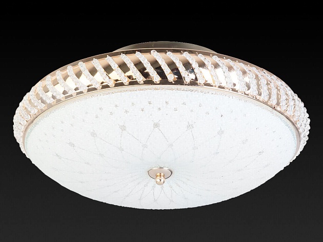 Накладной светильник Toplight Loreen TL1491Y-04GC Фото № 3