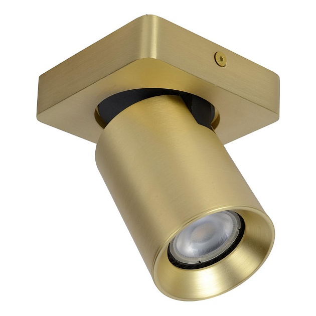 Спот Lucide Nigel 09929/05/02 Фото № 