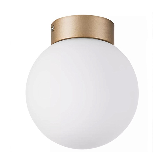 Настенно-потолочный светильник Lightstar Globo 812013 Фото № 