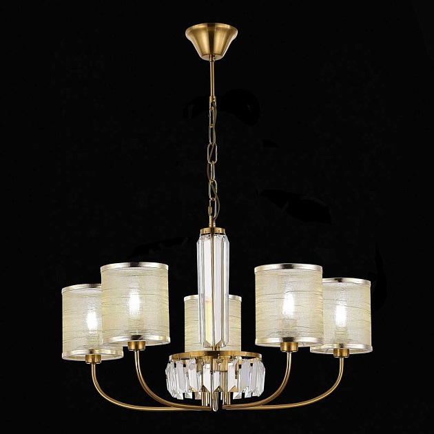 Подвесная люстра Evoluce Ellisse SLE1119-303-05 изображение 4 Подвесная люстра Evoluce Ellisse SLE1119-303-05 Фото № 4