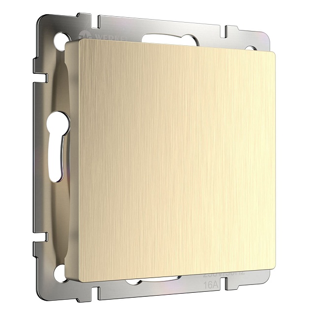 Заглушка Werkel шампань рифленый W1159210 4690389160301 изображение Заглушка Werkel шампань рифленый W1159210 4690389160301 Фото №