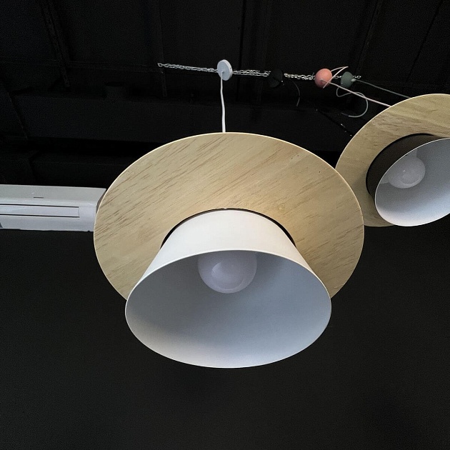 Подвесной светильник Imperium Loft Eco 178161-26 Фото № 2