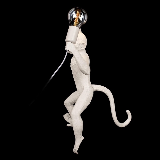 Настенный светильник Loft IT Monkey 10314W/B изображение 4 Настенный светильник Loft IT Monkey 10314W/B Фото № 4