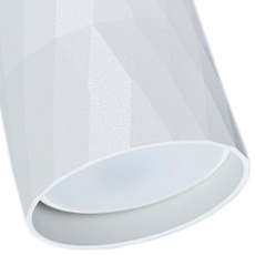 Потолочный светильник Arte Lamp Fang A5557PL-1WH 1