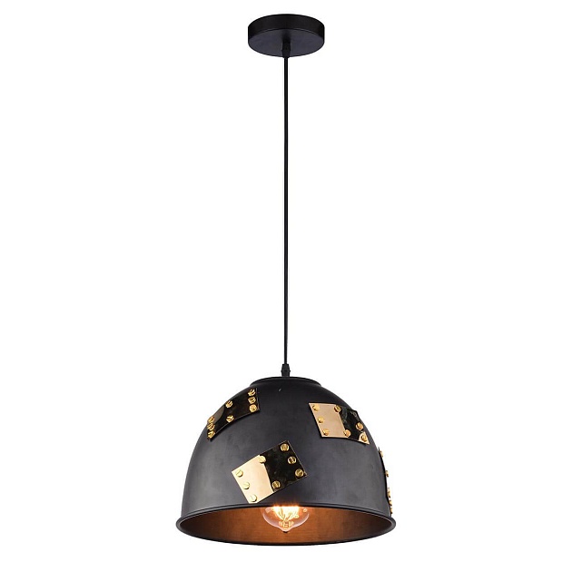 Подвесной светильник Arte Lamp Eurica A6023SP-1BK изображение Подвесной светильник Arte Lamp Eurica A6023SP-1BK Фото №