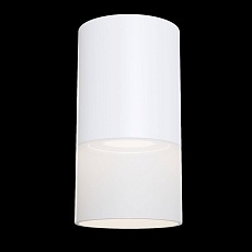 Потолочный светильник Maytoni Pauline C007CW-01W 2