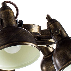 Потолочная люстра Arte Lamp Martin A5216PL-8BR 3