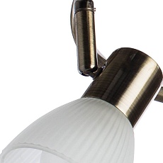 Спот Arte Lamp Parry A5062PL-3AB 1