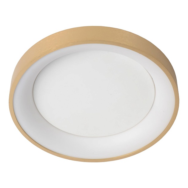 Потолочный светодиодный светильник Lucide Vidal 46103/20/02 Фото № 