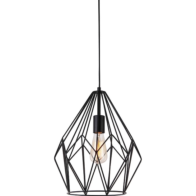 Подвесной светильник Toplight Jade TL1173H-01BK Фото № 