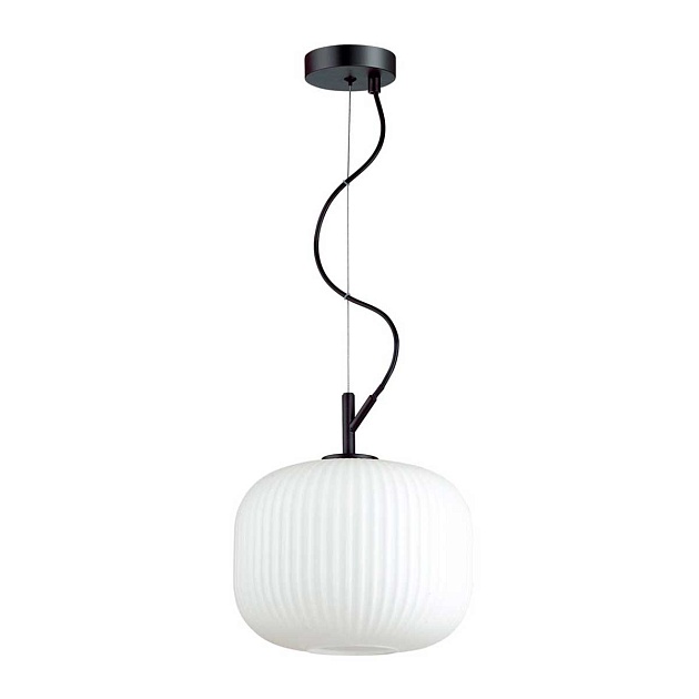 Подвесной светильник Odeon Light Pendant Roofi 4753/1 изображение Подвесной светильник Odeon Light Pendant Roofi 4753/1 Фото №