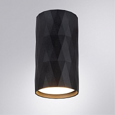 Потолочный светильник Arte Lamp Fang A5557PL-1BK 1